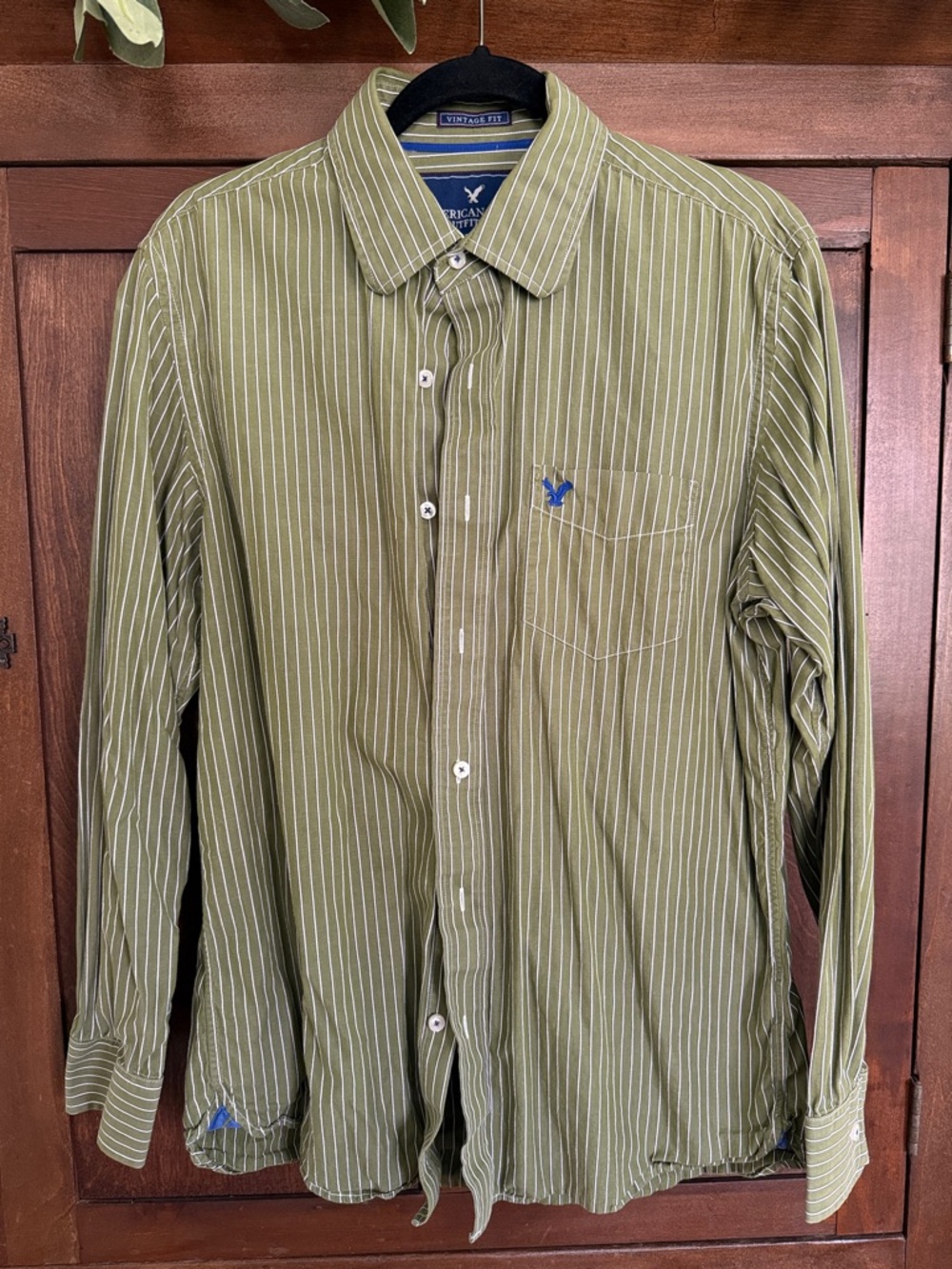 American Eagle Outfitters Olive Green Pinstripe Button‑Down Shirt